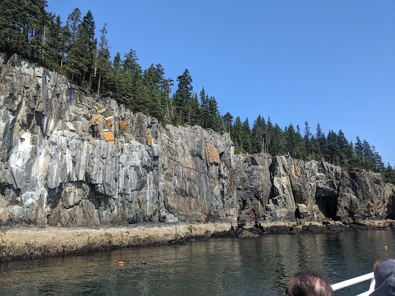 Winter Harbor cliffs along Acadia National Park show rugged granite shoreline with pine trees under a clear blue sky.