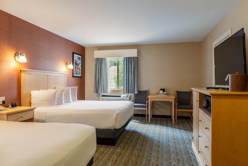 Two double beds with white linens in a hotel room, red accent wall, window with blue curtains, Acadia National Park.
