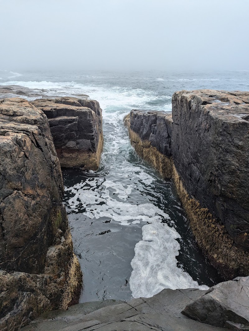 Schoodic Woods Campground in Acadia National Park sits beside rugged sea cliffs and a foamy tidal channel.