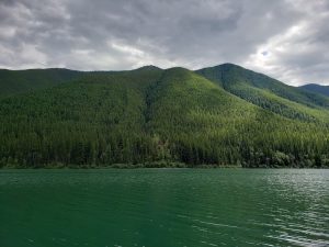 Harrison Lake shore in Glacier National Park with forested mountains and green water.