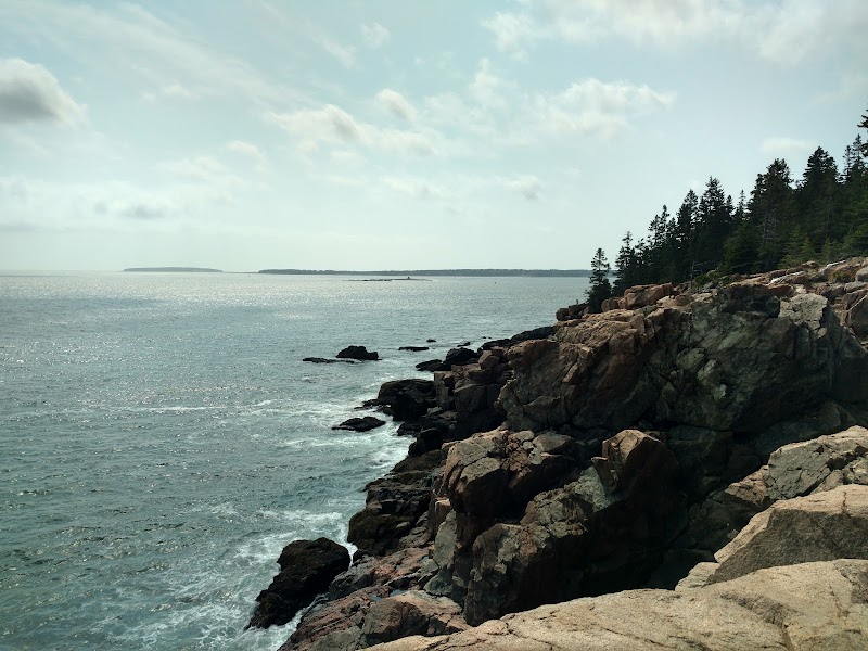 Seal Harbor coastline along rugged Acadia National Park shore, with pine-covered rocky cliffs.