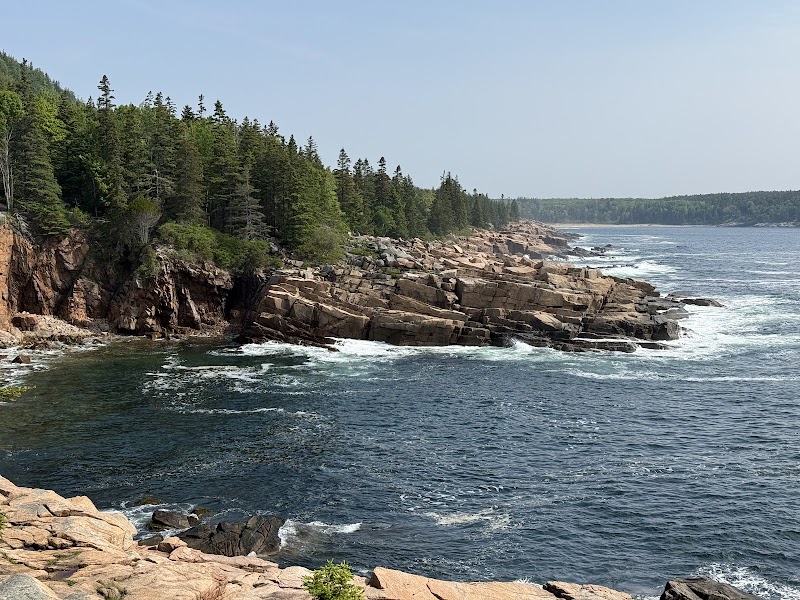 Rocky shoreline along Gorham Mountain Trailhead with pine trees, rugged cliffs, and blue Atlantic in Acadia National Park.