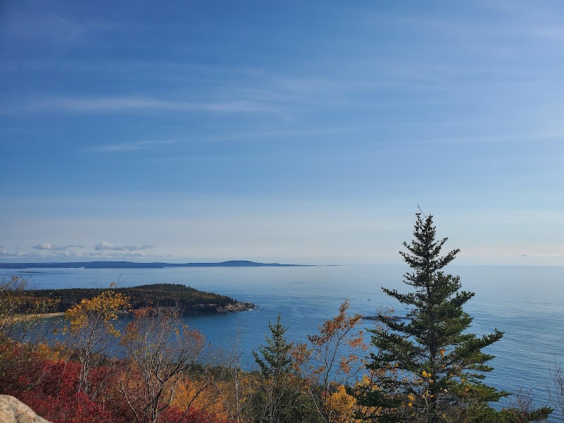 Autumn shoreline view from Gorham Mountain Trailhead in Acadia National Park, with colorful foliage, calm blue Atlantic, and a pine in the foreground.