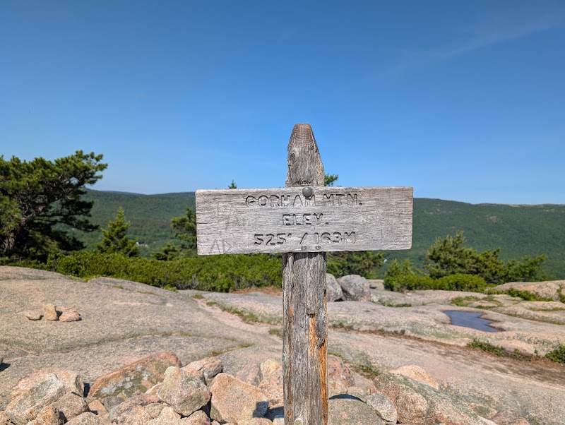 Weathered wooden trail marker on a rocky overlook with distant pines and blue sky, Gorham Mountain Trailhead, Acadia NP.