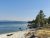 Shoreline of Yellowstone Lake in Yellowstone National Park with a sandy beach, scattered rocks, and pine trees along calm blue water.