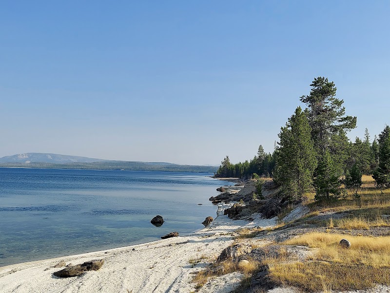 Shoreline of Yellowstone Lake in Yellowstone National Park with a sandy beach, scattered rocks, and pine trees along calm blue water.