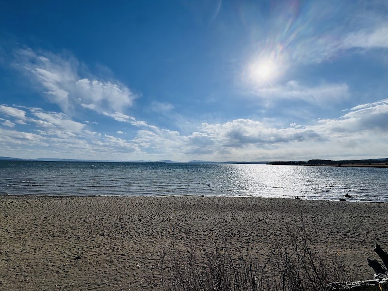 Sandy shore along Yellowstone Lake with calm water and a bright sun in a blue sky, Yellowstone National Park.