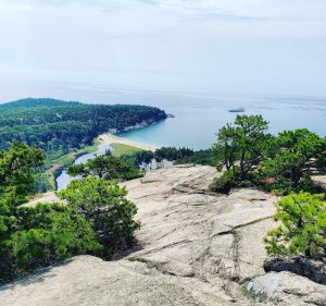 Sunlit rocky ledge with scattered pines overlooks turquoise bay, sandy cove, and forested headland at Acadia National Park.