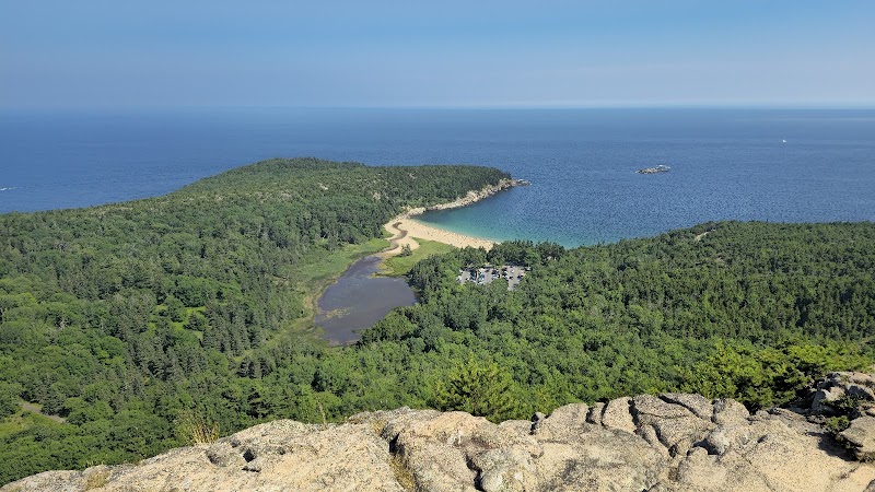 Overlook shows pine forest, a winding Beehive Trail to a sandy cove along Acadia National Park's rugged coastline.