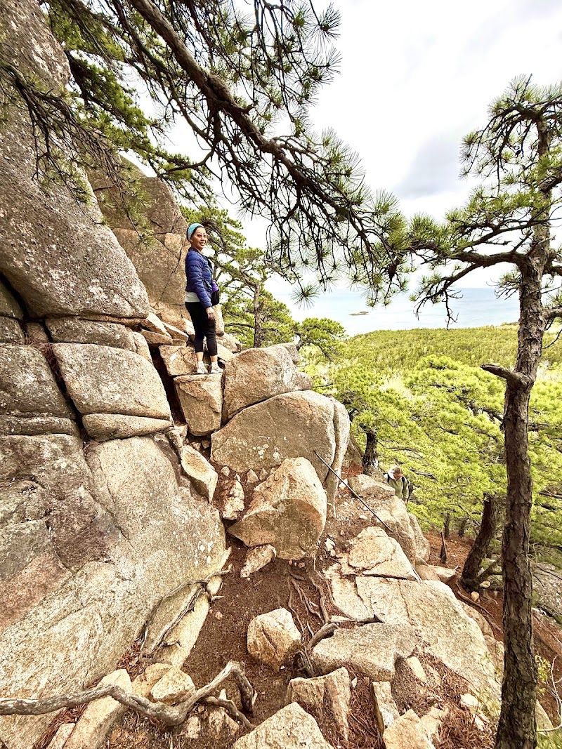 Hiker stands on rugged Beehive Trail rocks among pine trees with sweeping Acadia National Park views.