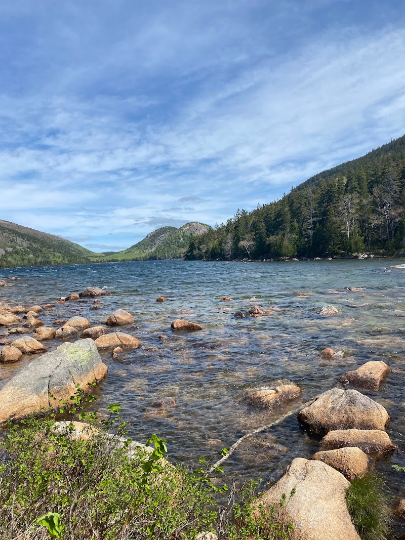 Rocky shoreline along Jordan Pond in Acadia National Park, with clear water and evergreen shores.