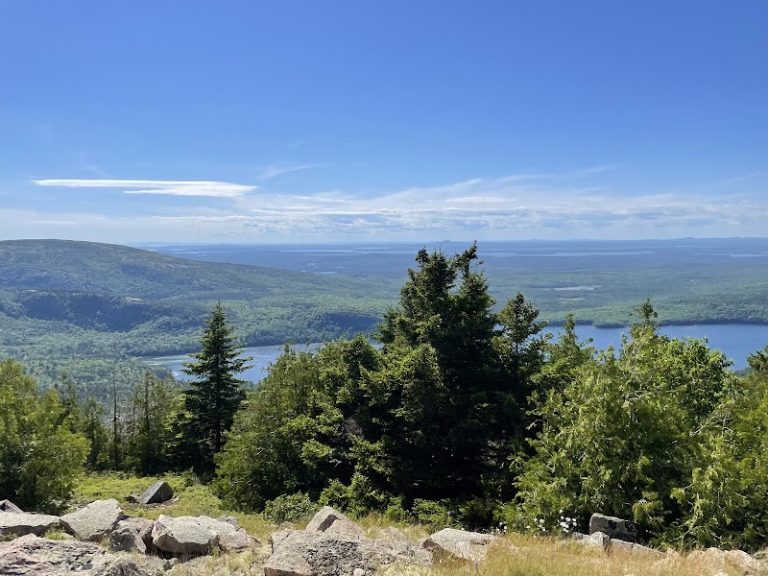 Cadillac Mountain Overlook, Acadia National Park, reveals blue skies over pine forests and rocky ledges.