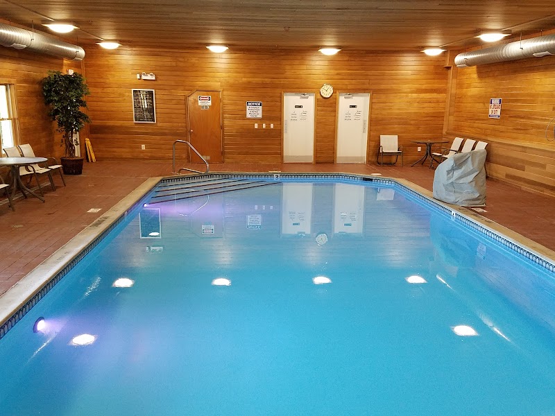 Indoor pool area with warm wooden walls, blue water, lounge chairs, potted plant, and doors at Acadia National Park.