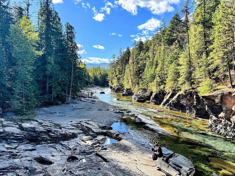 Johns Lake Loop Trailhead in Glacier National Park winds along rocky riverbanks with evergreen pines and a clear stream.
