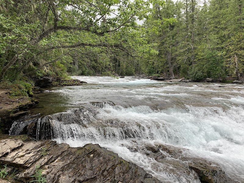 Johns Lake Loop Trailhead winds along a fast-flowing river with rocky ledges and dense forested banks in Glacier National Park.
