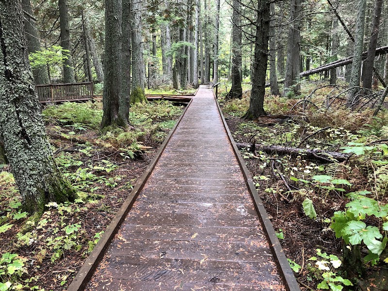 Boardwalk winding through an evergreen forest at Johns Lake Loop Trailhead in Glacier National Park.