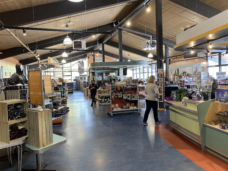 Inside a Yellowstone National Park gift shop, shelves line aisles with hats, souvenirs, and a long checkout counter.