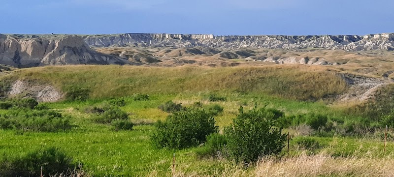 Lush green grasses and shrubs in the foreground roll into beige badlands and layered cliffs at Badlands National Park.