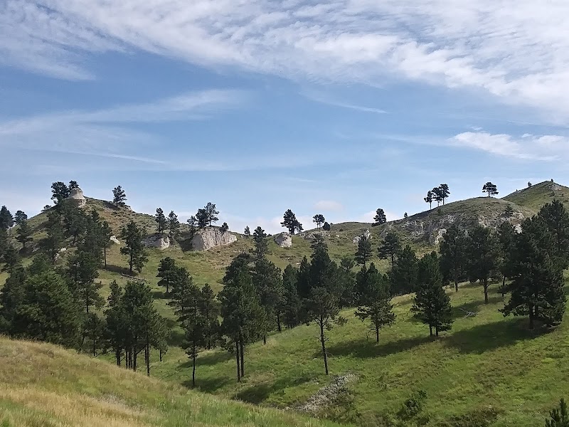 Gentle grassy hills with scattered pines and low rock outcrops rise under a blue sky in Badlands National Park.