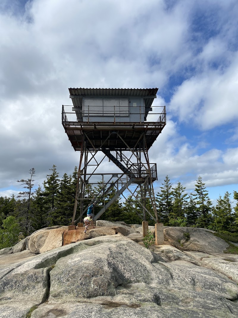 Beech Mountain lookout tower rises above granite boulders with pine trees in Acadia National Park.