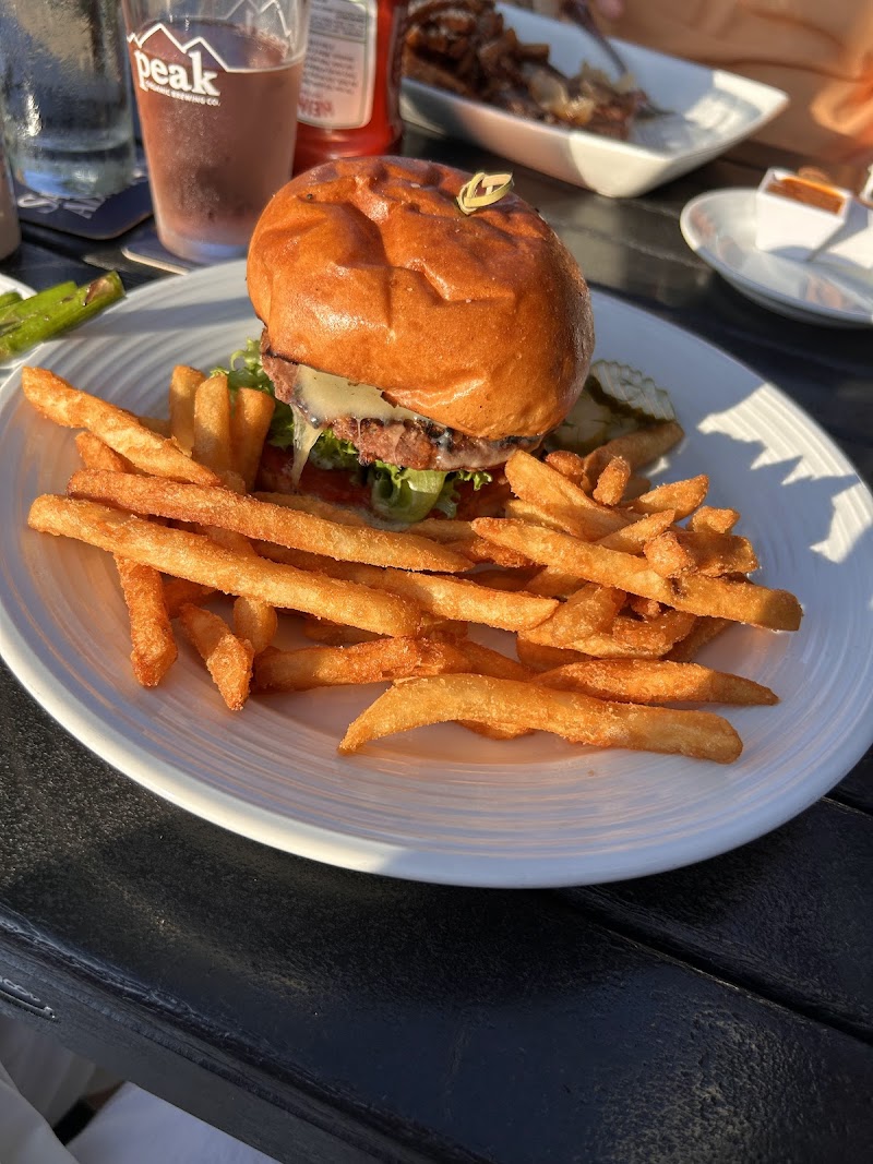 Juicy cheeseburger with greens and melted cheese, crispy fries on a white plate at an outdoor table in Acadia National Park.