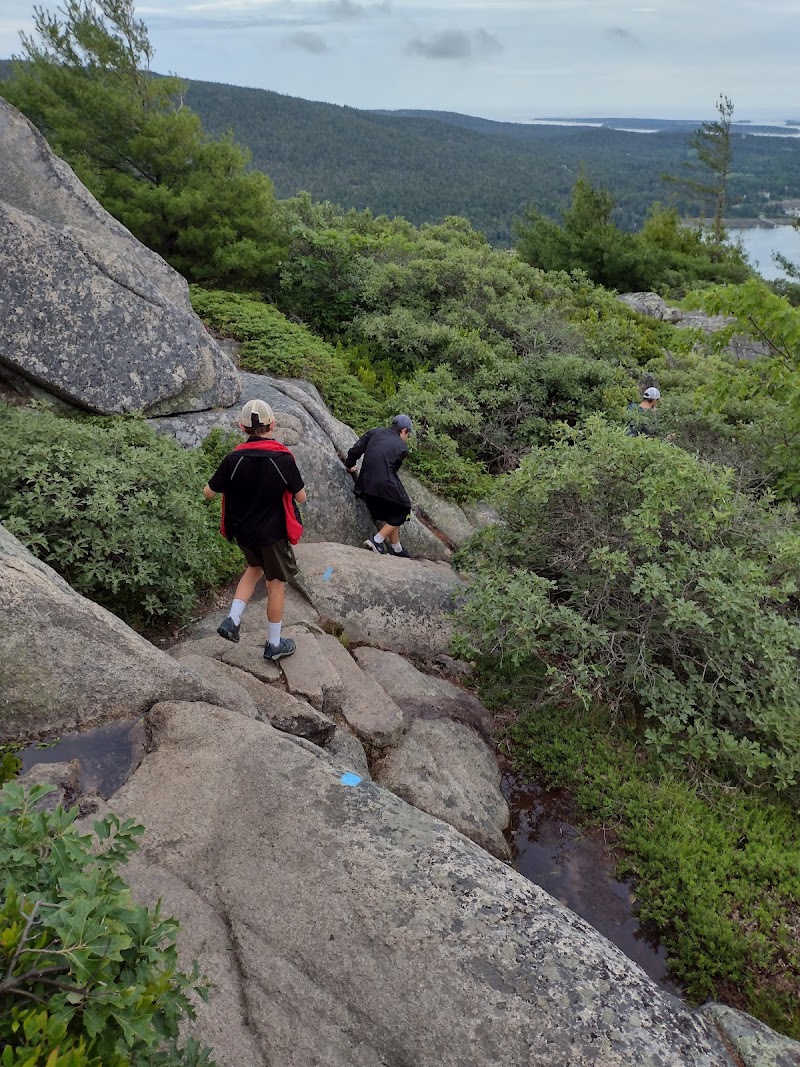 Hikers traverse a rocky, mossy trail amid dense shrubs on Acadia Mountain with distant water views in Acadia National Park.