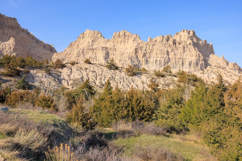 Beige cliff shelves rise above a scrubby foreground of grasses and evergreens at Badlands National Park.