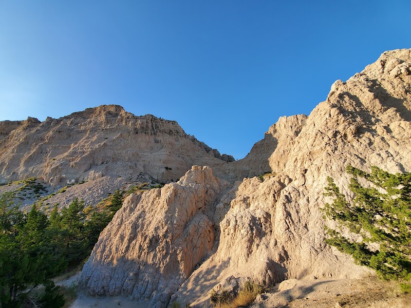 Beige sandstone cliffs loom over a pine forest in Badlands National Park, with a clear blue sky overhead.