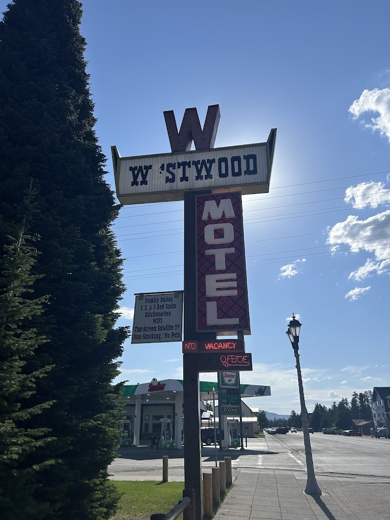 Tall retro motel sign with a large W atop and MOTEL vertical, neon 'NO VACANCY', gas pumps, and trees in Yellowstone National Park.