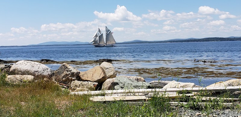Harborside waterfront at Acadia National Park with rocky shore, grass in the foreground, and a sailing schooner on calm water.