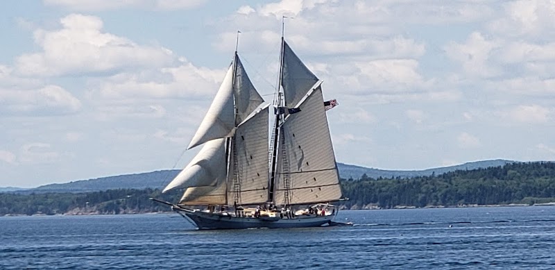 Harborside at Acadia National Park shows a tall-masted schooner sailing past a rocky shoreline with pine-dotted coast.