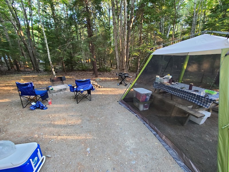 Campground scene at Acadia National Park featuring a green screened tent, picnic table, blue chairs, and a grill among pines.