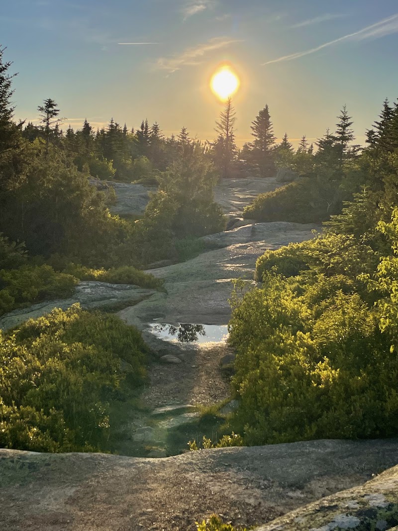 Cadillac Mountain viewpoint at sunset, with rugged slabs and spruce forest in Acadia National Park.