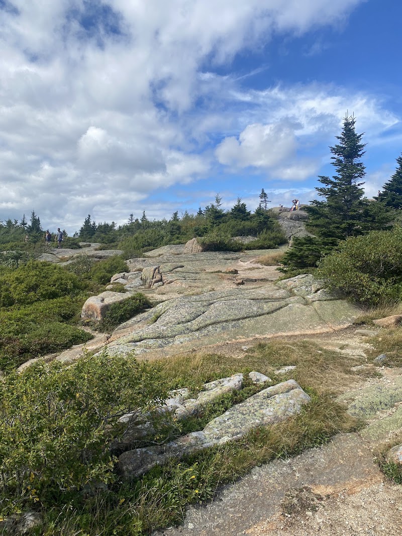 Cadillac Mountain overlook in Acadia National Park offers sweeping Atlantic views from rocky summit.