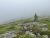 Cadillac Mountain summit trail in Acadia National Park shrouded in thick coastal fog with rocky outcrops and evergreen spruces.
