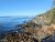 Rugged Schoodic Peninsula shoreline along Acadia National Park with rocky coast, evergreens, and calm blue Atlantic waters.