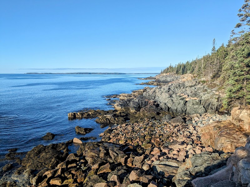 Rugged Schoodic Peninsula shoreline along Acadia National Park with rocky coast, evergreens, and calm blue Atlantic waters.