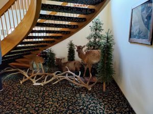 Inside Glacier National Park lodge lobby with a mounted deer and large antler display beside a curved staircase.