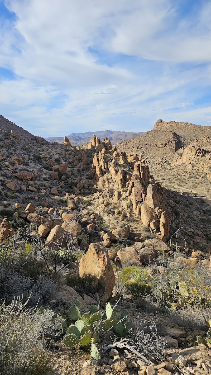 West Entrance rock formations at Big Bend National Park, with jagged sandstone spires lining the trail.