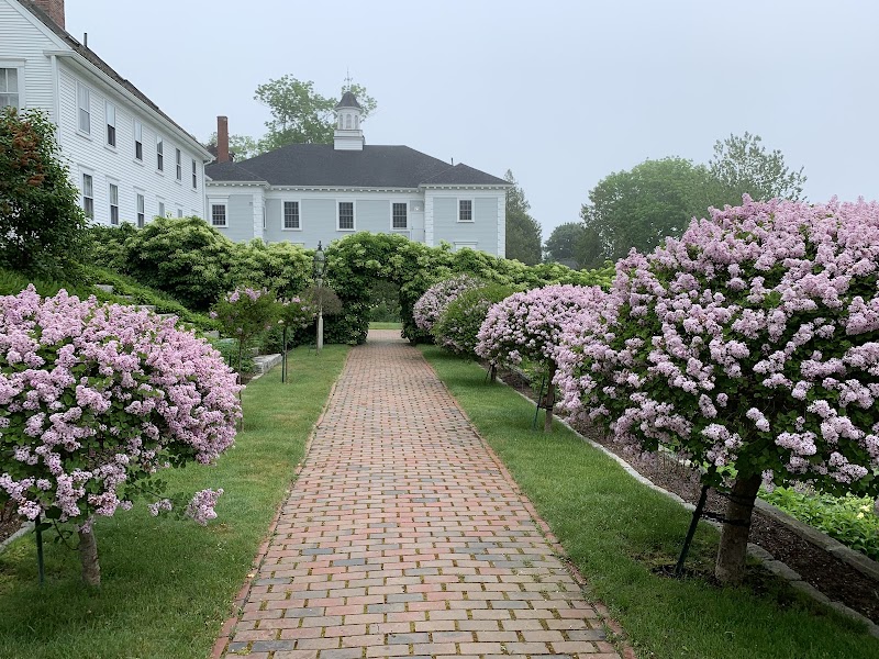 Castine garden path lined with pink flowering bushes in Acadia National Park on a sunny day.