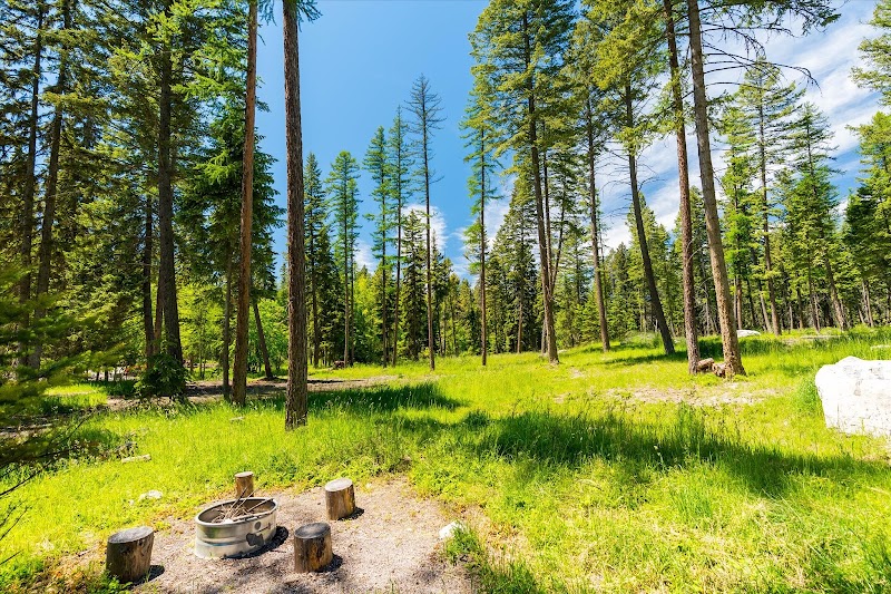 Sunlit meadow in Glacier National Park with tall pines, a stone fire ring, and log stumps