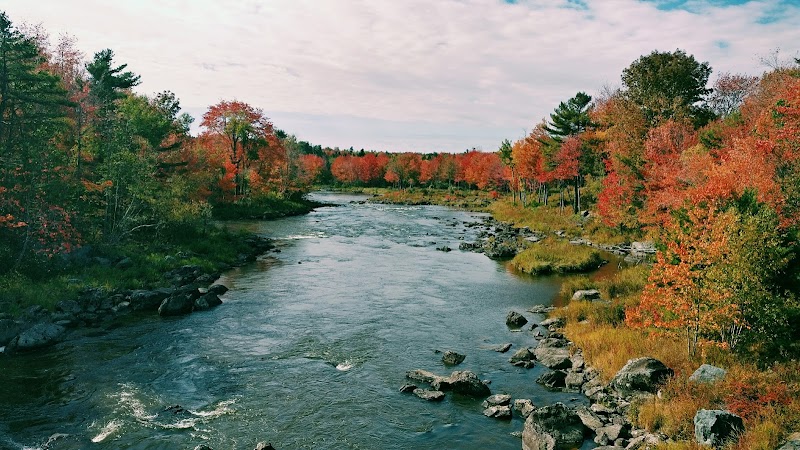 Autumn river winds through a forested shoreline in Acadia National Park, near Ellsworth, Maine.