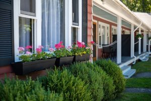 Cozy motel row with red siding, white-framed windows, pink flower boxes, and trimmed hedges in Acadia National Park.