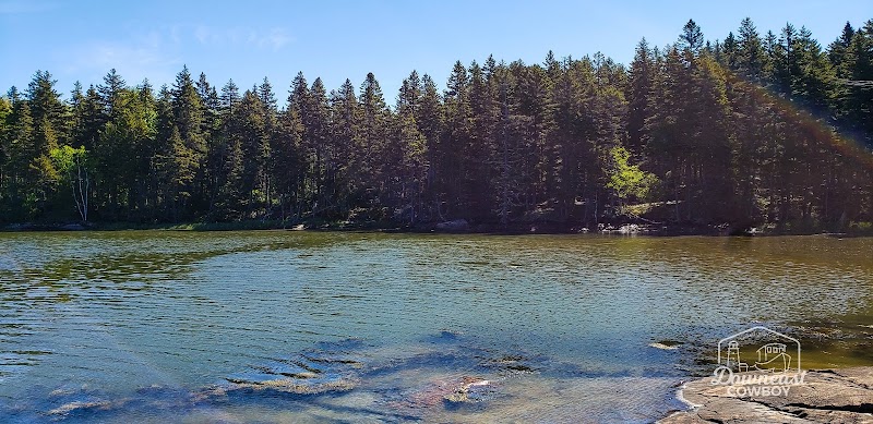 Shoreline lake scene near Steuben in Acadia National Park with forested far shore and calm water.