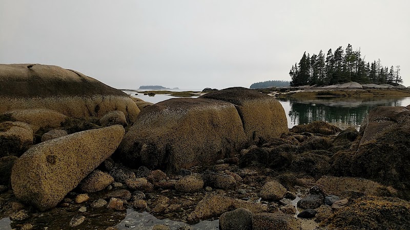 Deer Isle coastline along Acadia National Park features rugged granite boulders and calm tidal pools.
