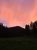 Sunset over Red Canyon Creek Trail in Yellowstone National Park, with pink clouds casting silhouettes on the pine forest.