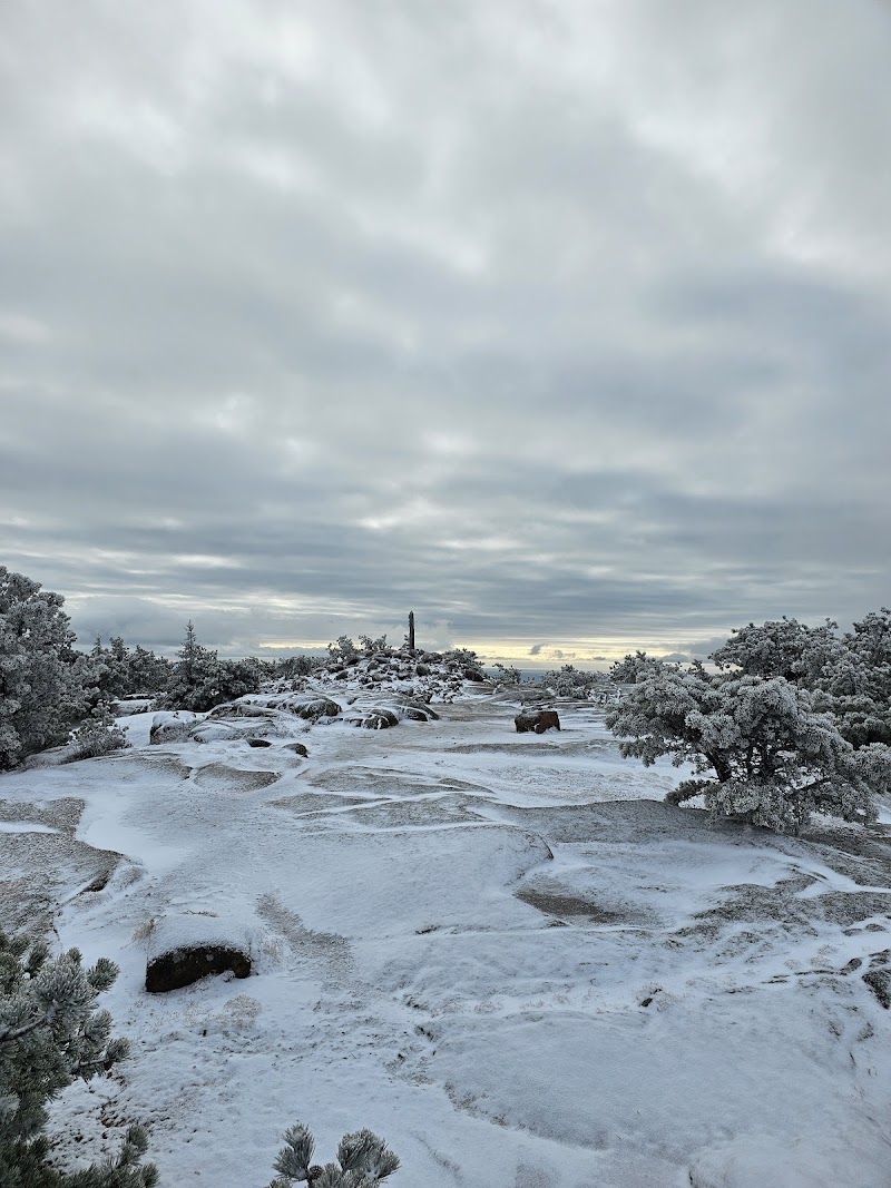 Snowy, rocky Dorr Mountain trail in Acadia National Park with frost-covered shrubs and a cloudy gray sky.