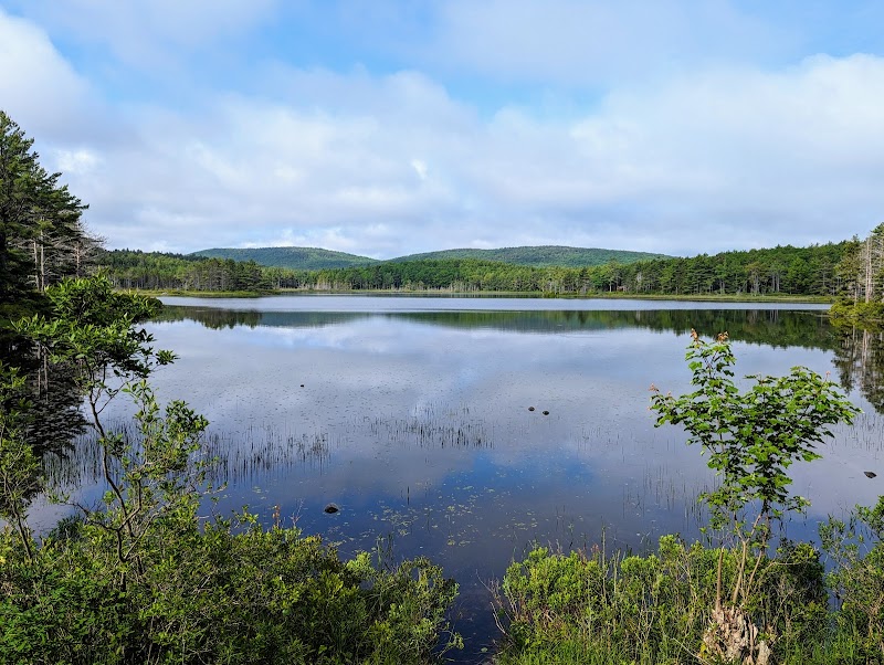 Witch Hole Pond