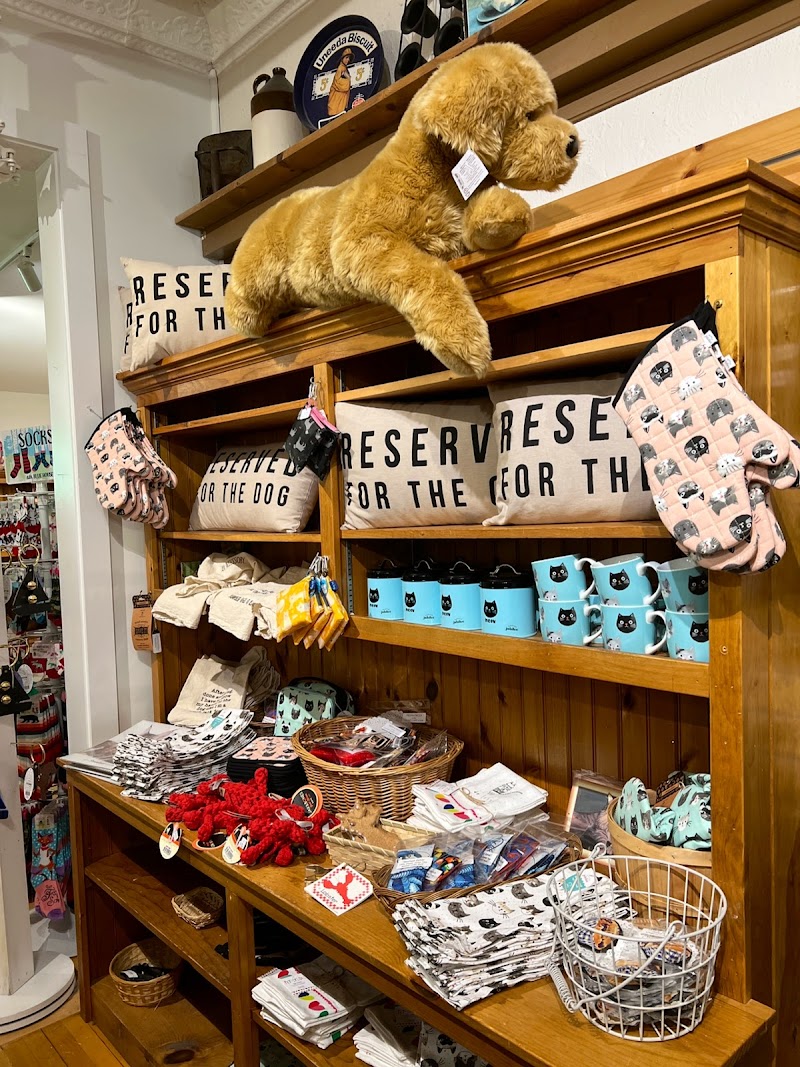 Wood shelving in Acadia National Park gift shop with a large plush dog, printed pillows, blue cat mugs, and assorted souvenirs.
