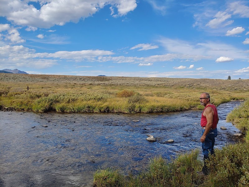 Man in a red sleeveless shirt stands on a grassy riverbank beside a shallow creek in Yellowstone National Park.